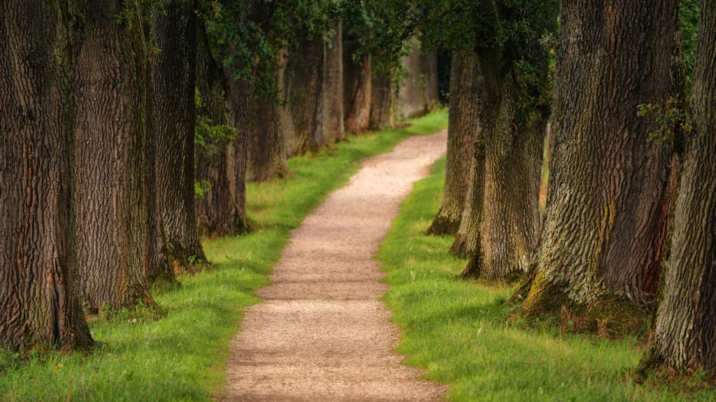 A Journey Through Psalms (49)