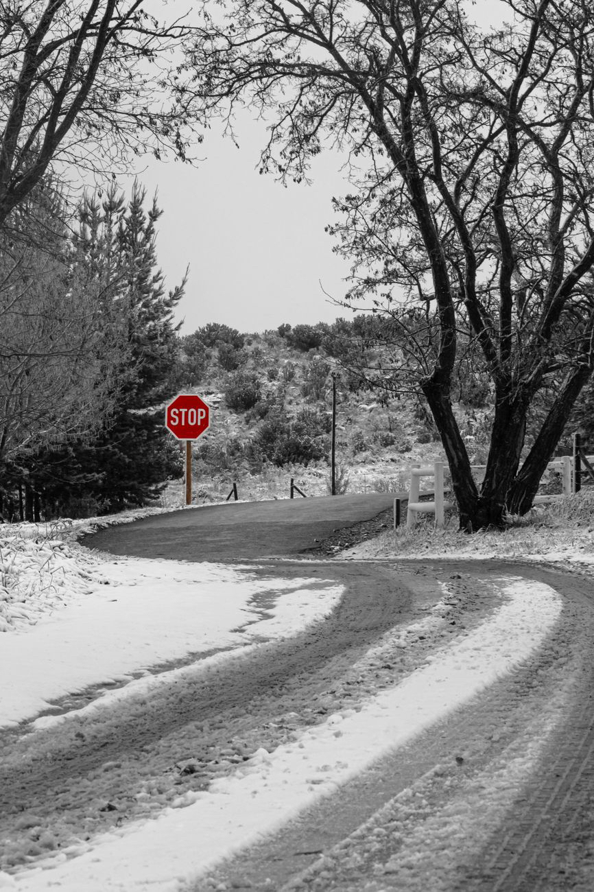 A Journey Through Psalms (73)